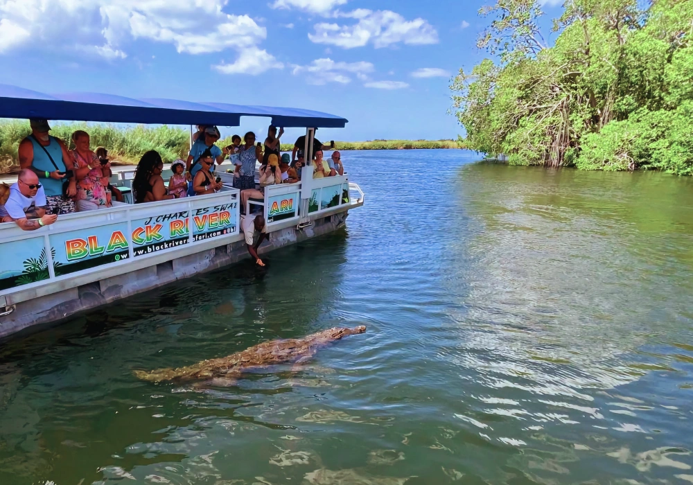 Black River Safari Tour